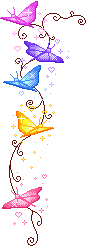 Butterfly gif